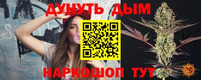 mdpv Новодвинск