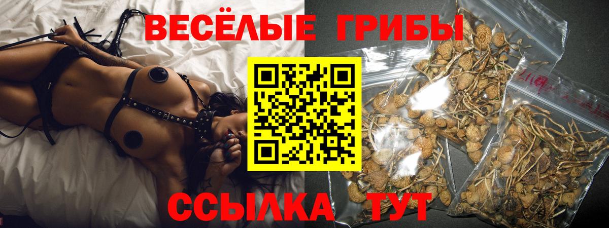 Псилоцибиновые грибы прущие грибы Сыктывкар