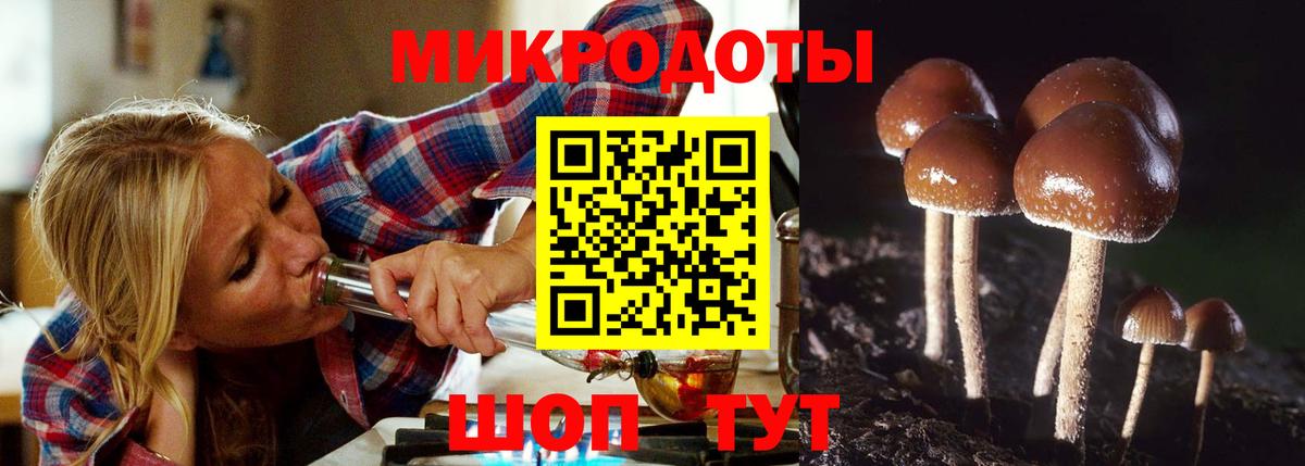 Псилоцибиновые грибы мицелий  Вход с VPN  Псилоцибиновые грибы ЛСД  Сыктывкар 
